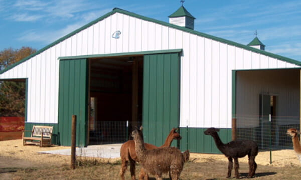 Pole Barn Builder | Extreme Post Frame | North Carolina  - cta livestock